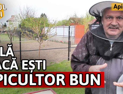AFLĂ DACĂ EȘTI APICULTOR BUN