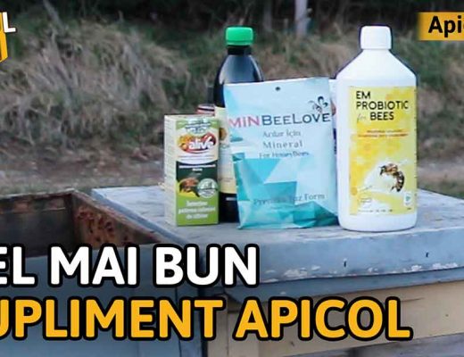 CEL MAI BUN supliment pentru albine