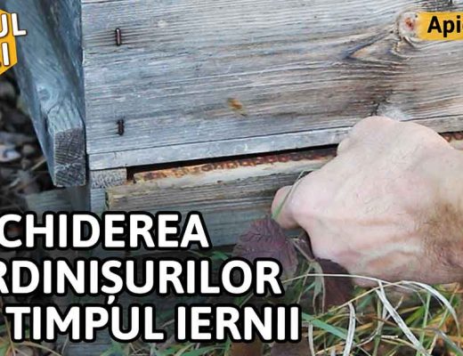 Închiderea urdinișurilor pe timpul iernii