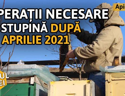 Operații necesare în stupină după 20 aprilie 2021